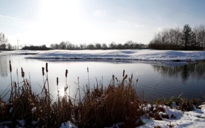 WINTERSPIELBETRIEB ab 01.11.2026